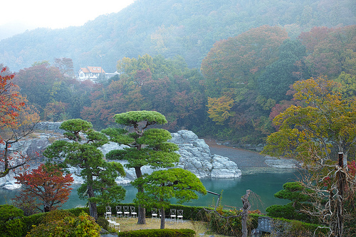 秩父・長瀞、桜山公園。温泉と紅葉撮影の旅：その２
