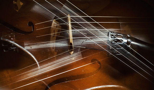 Abstract of Cello Details