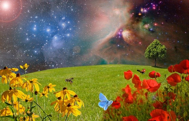 銀河と植物