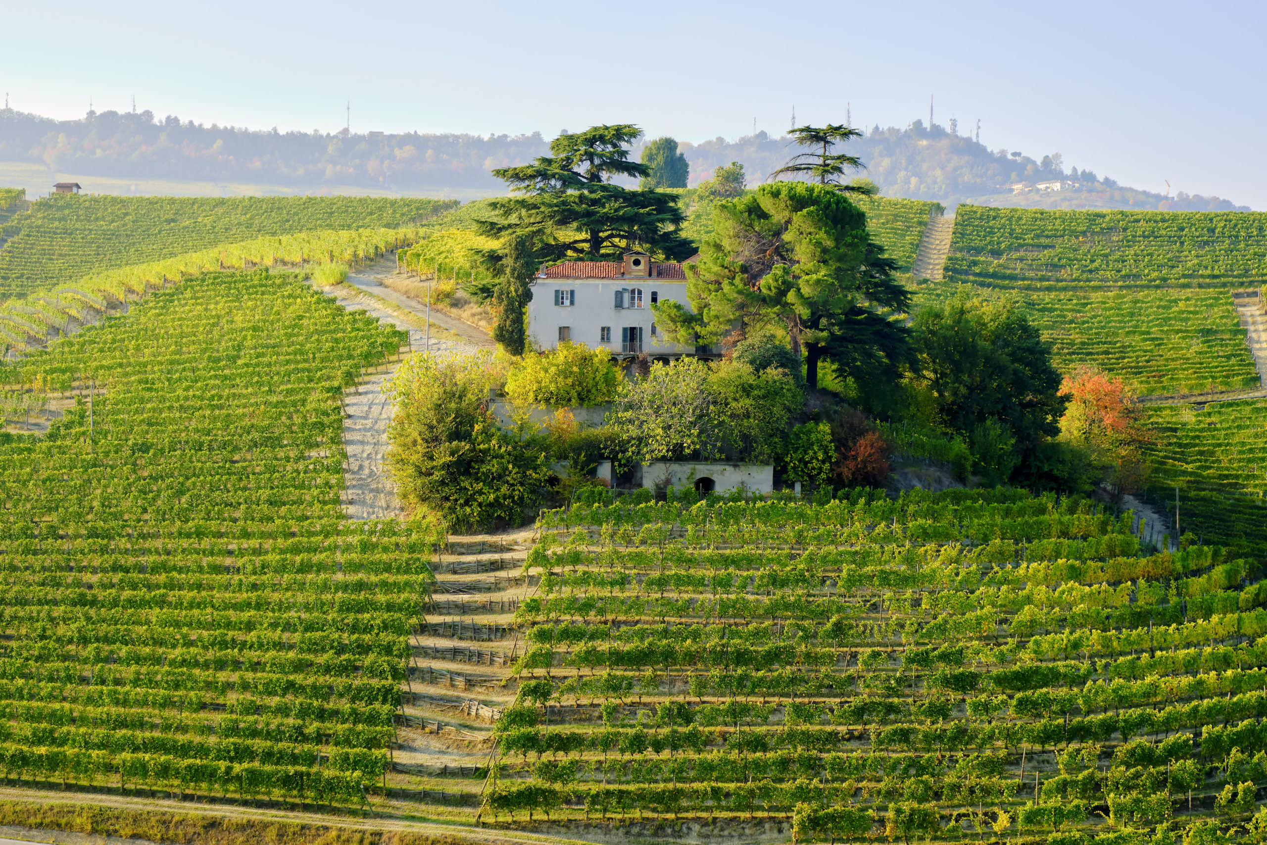 vecteezy_barolo-italy-2021-farm-surrounded-by-vineyards_4439729